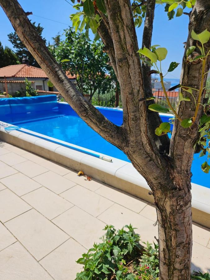 Apartments With Swimming Pool 9X4M Селце Екстер'єр фото